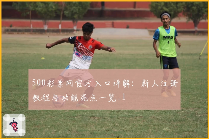 500彩票网官方入口详解：新人注册教程与功能亮点一览_1
