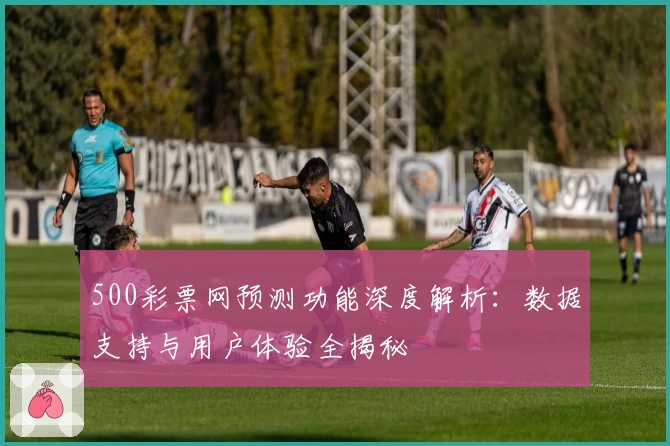 500彩票网预测功能深度解析：数据支持与用户体验全揭秘