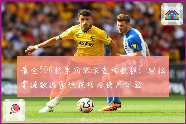 最全500彩票网记录查询教程:轻松掌握数据管理技巧与使用体验