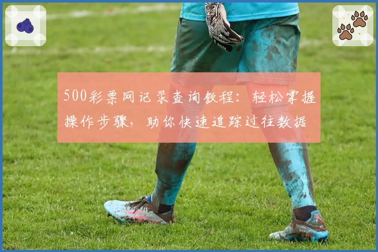 500彩票网记录查询教程:轻松掌握操作步骤,助你快速追踪过往数据