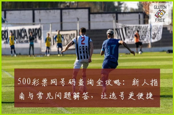 500彩票网号码查询全攻略：新人指南与常见问题解答，让选号更便捷