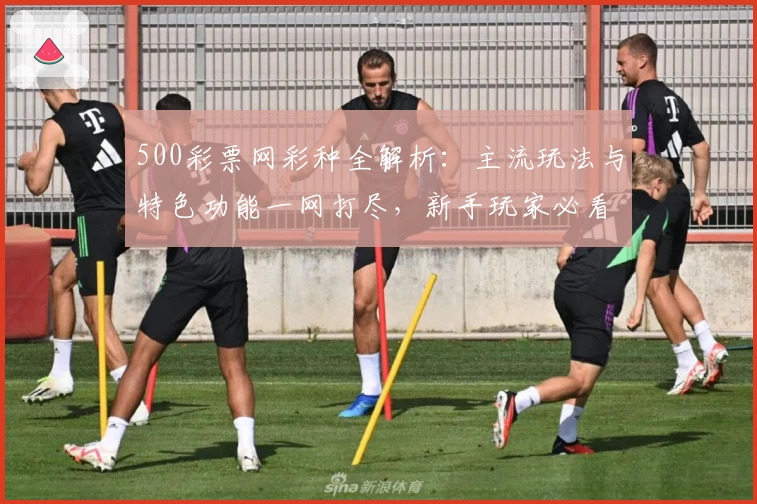 500彩票网彩种全解析：主流玩法与特色功能一网打尽，新手玩家必看指南